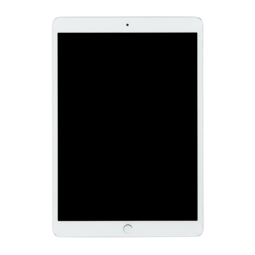 iPad Blank Screen